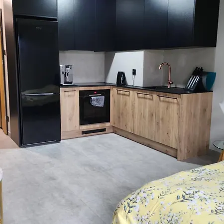 Your Time In Heart Of Cracow , Gym & Free Parking Krasków